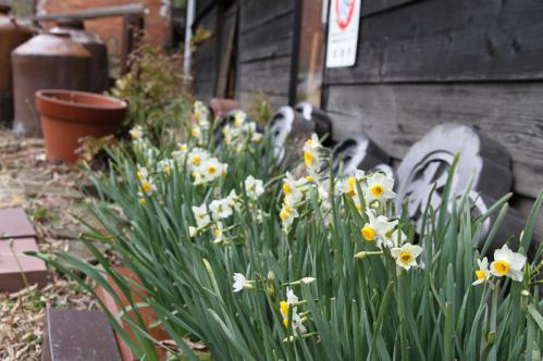 20130217_084.jpg