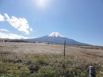 2012-10-19_12-25-36.jpg