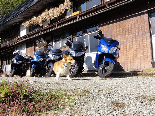 2012-10-21_09-31-42.jpg