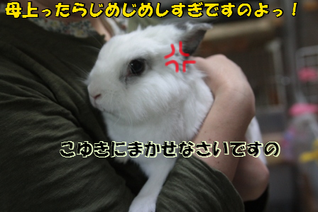 2012/11/14/1