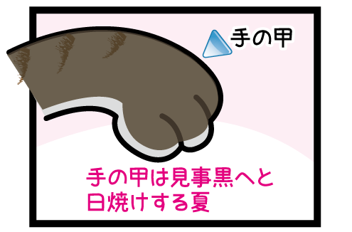 hiyake2.gif