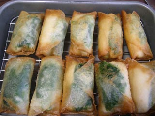 20120611b.jpg