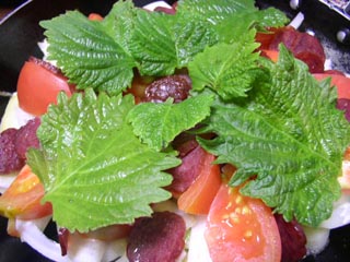 20120705.jpg