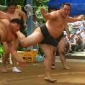 20090713_665396.jpg