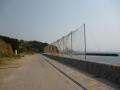 P1000404.jpg