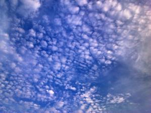 8月の夏空2