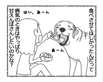 羊の国のラブラドール絵日記シニア!!「おかえり！クロエちゃん」4