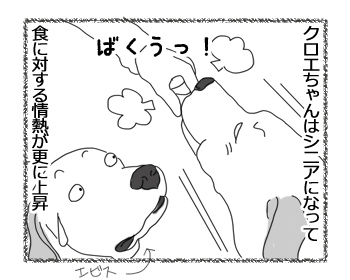 羊の国のラブラドール絵日記シニア!!「シニアの印籠」1