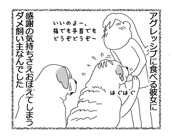 羊の国のラブラドール絵日記シニア!!「シニアの印籠」4
