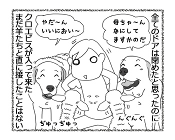 羊の国のラブラドール絵日記シニア!!「未知との遭遇」2