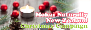 MokaiChristmasBanner