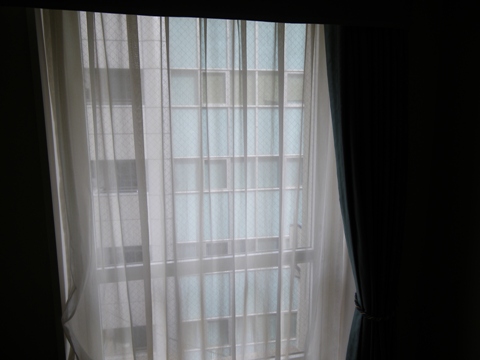 IMGP3624.jpg