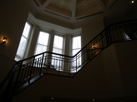 IMGP3639.jpg