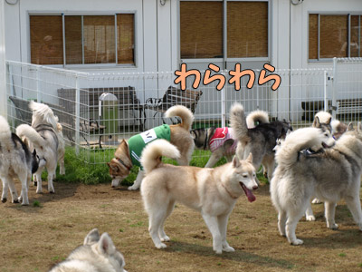 ケロケロ集会