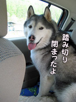 トリュフ