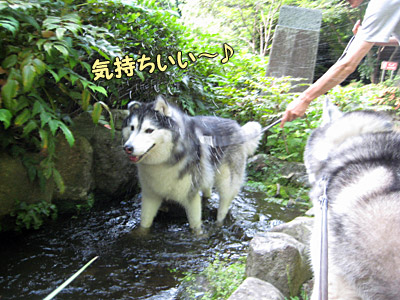小川