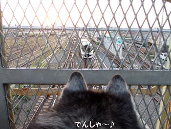 電車の観察