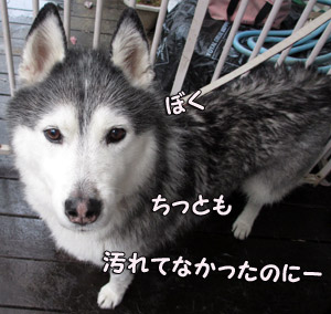 トリュフ