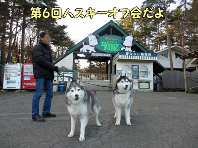 オフ会報告