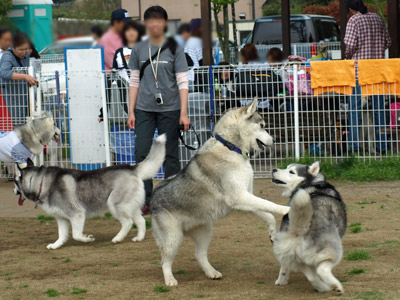ケロケロ集会