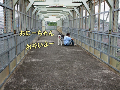 早朝の跨線橋