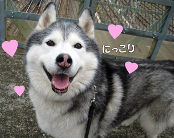 笑顔とりゅふ