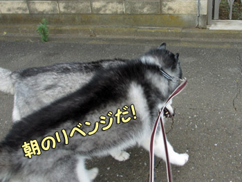 怪獣ショー