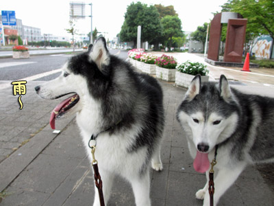 雨宿り