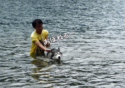 トリュフの水遊び