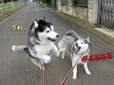 怪獣ショー
