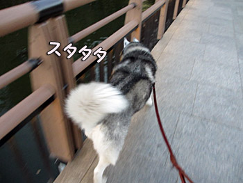 井の頭公園