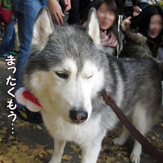 トリュフ