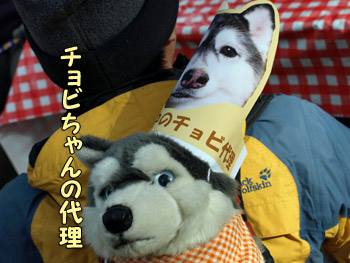 チョビ代理