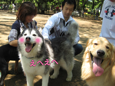 ポトフ