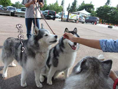 トリュフ&ポトフ