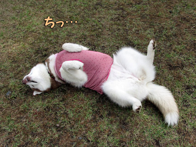 くねくねアンナちゃん