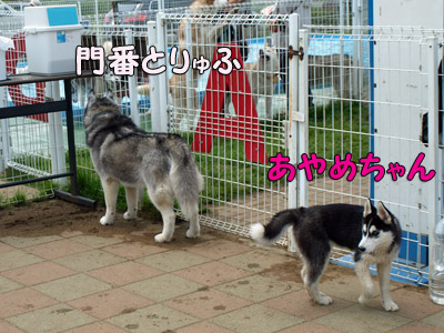 ケロケロ集会