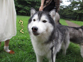 うっく