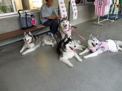 お待っちんぐ中