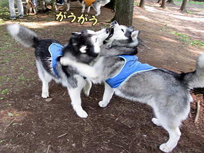 怪獣ショー
