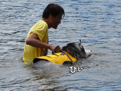 トリュフの水遊び