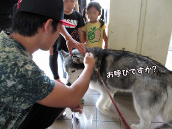 トリュフ