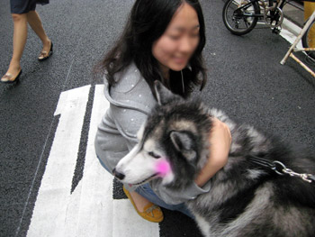 ポトフ