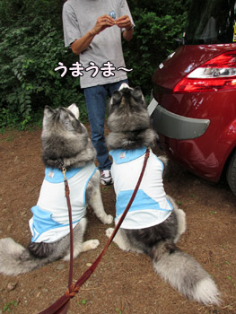 トリュフ&ポトフ