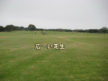 芝生広場
