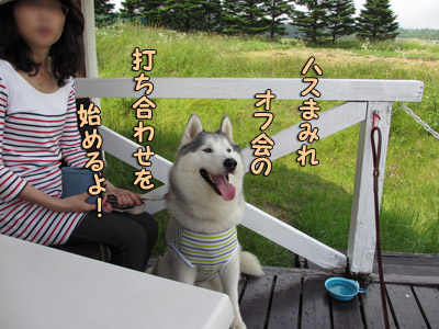 風雅委員長のあいさつ