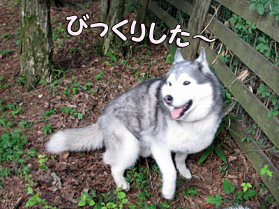 びっくりした~