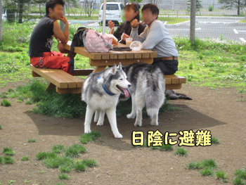 避難中