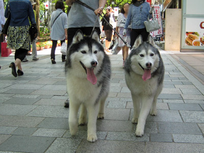おふたりさん