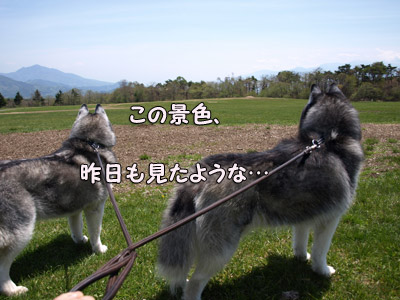 清里